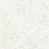 Cream Extravagance Sherwani